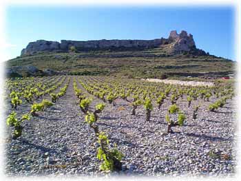 vue du château depuis les vignes